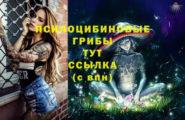 спиды Медвежьегорск