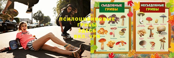 спиды Медвежьегорск