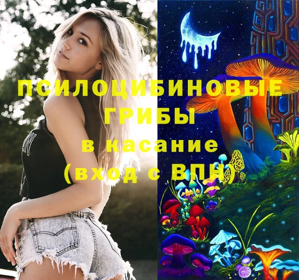 спиды Медвежьегорск