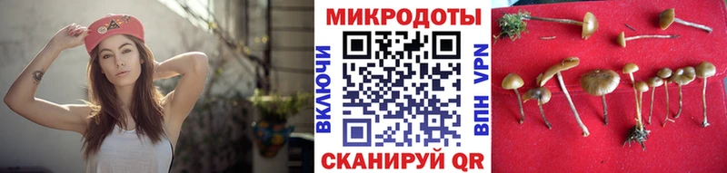 Галлюциногенные грибы Psilocybine cubensis  Шахунья 